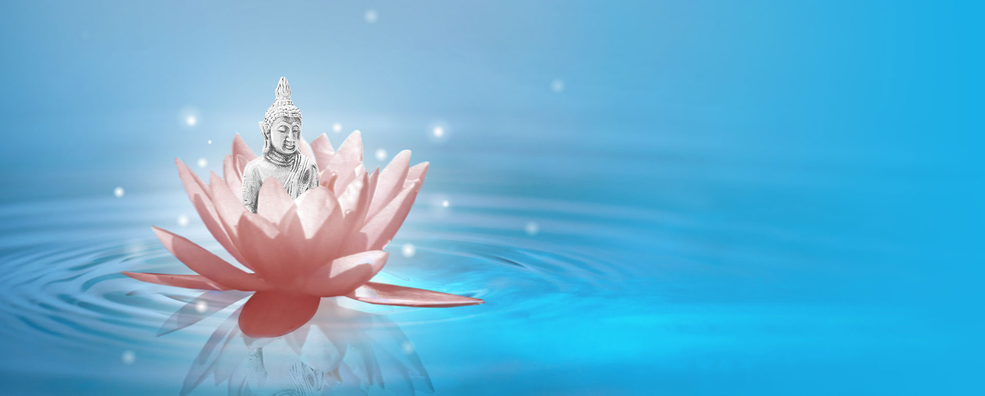 Bandeau Lotus Buddha Accueil